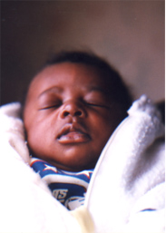 David